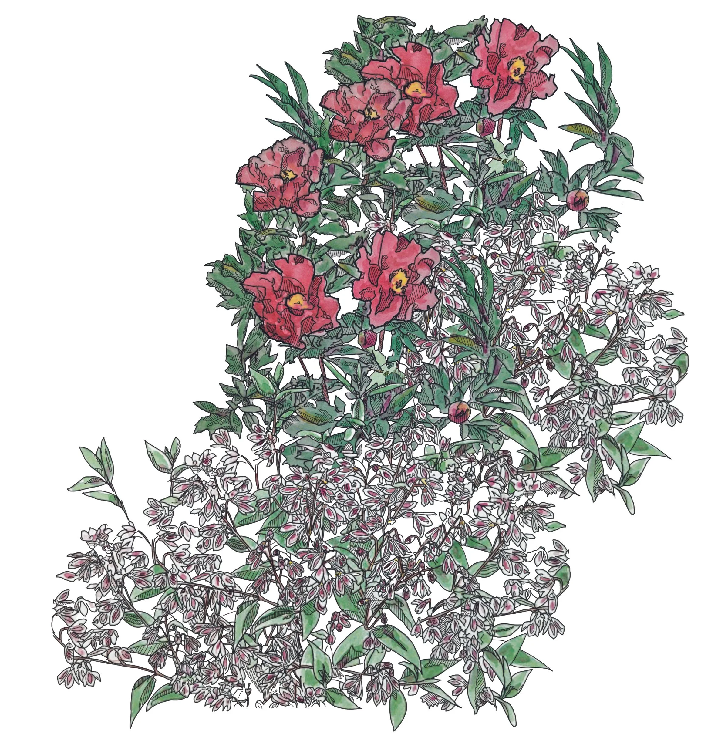 Vineyard Gardens Contact — Vineyard Gardens